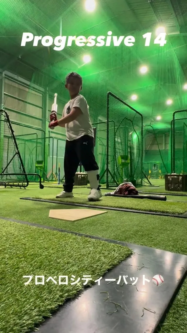 プロベロシティーバット