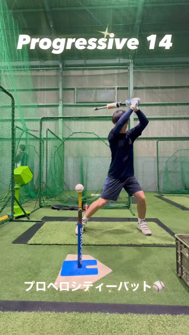 プロベロシティーバット