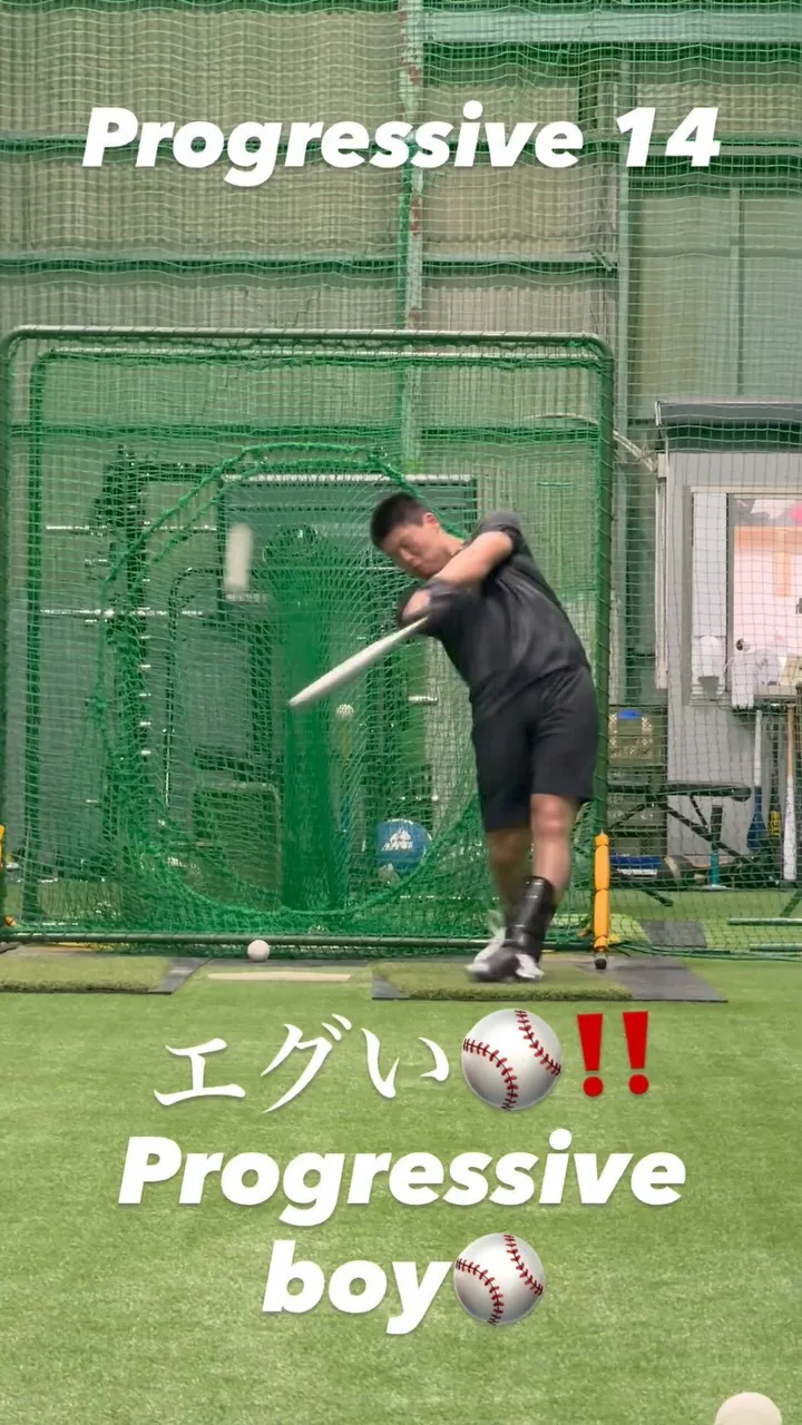 プロベロシティーバット